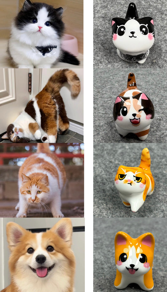 Customize my pet